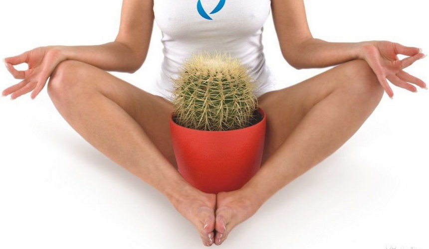 Ожоги крапивой: как их быстро вылечить?