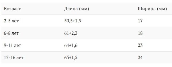 Нормы желчного пузыря у детей Нормы желчного пузыря у детей