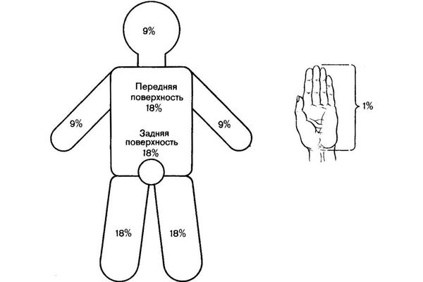 Правило ладони Правило ладони
