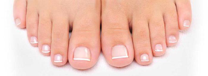 реолин инструкция по применению для человеческого состава