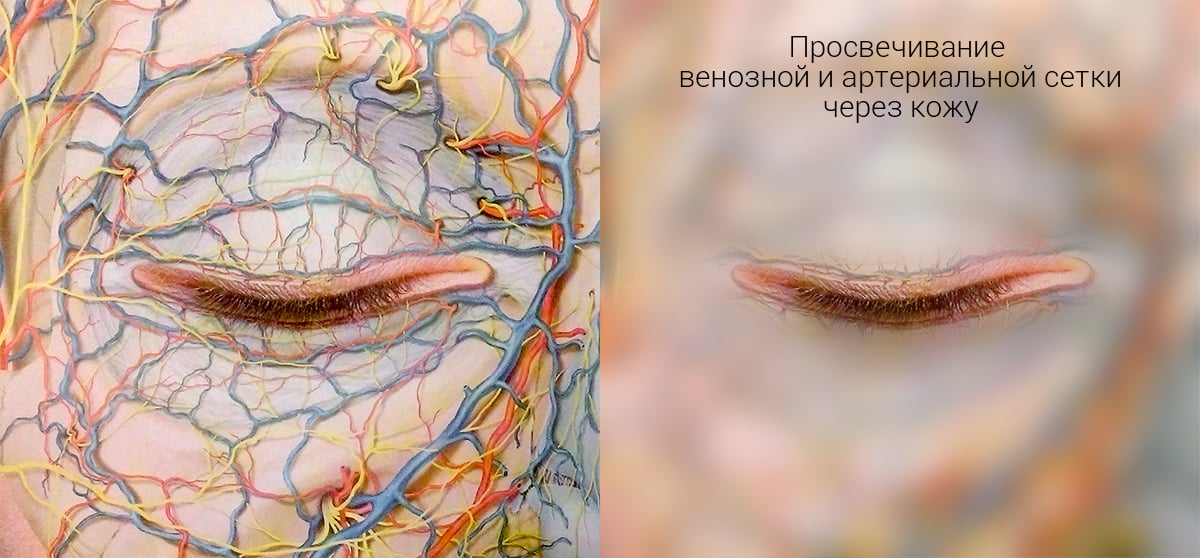 ТОП лучших процедур вокруг глаз