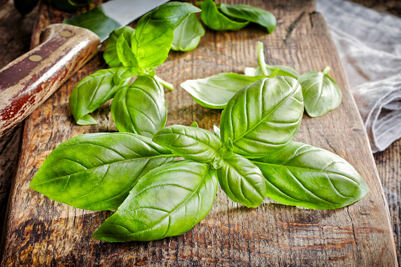 Букет здоровья: 7 видов самой полезной зелени Букет здоровья: 7 видов самой полезной зелени