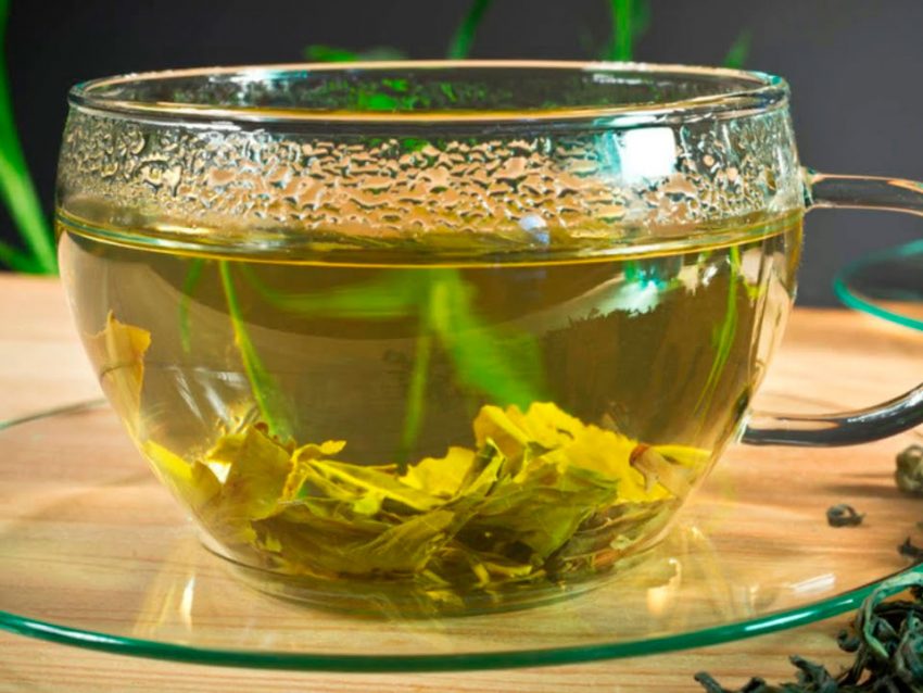 Зеленый чай для похудения: польза, рецепт