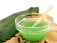 каланхоэ от соплей с пластырем