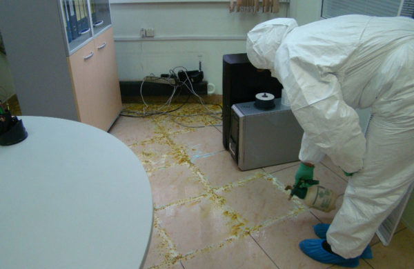 Демаркировка и сбор ртути