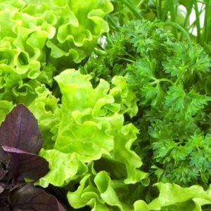 Зеленый | Еда и здоровье Зеленый