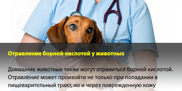 отравление борной кислотой отравление борной кислотой