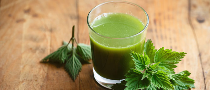 Настой листьев крапивы