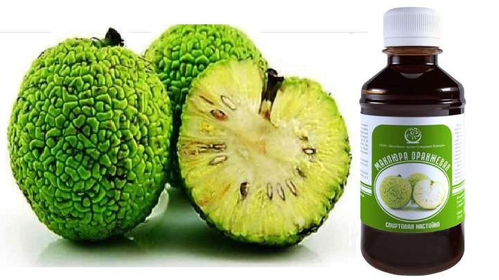 Маклюра мазь для суставов: свойства, показания, народные рецепты