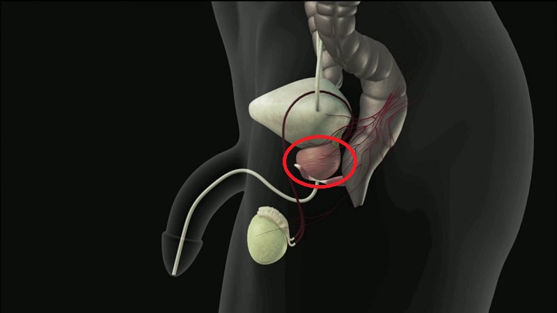Массаж простаты пальцем мужу дома