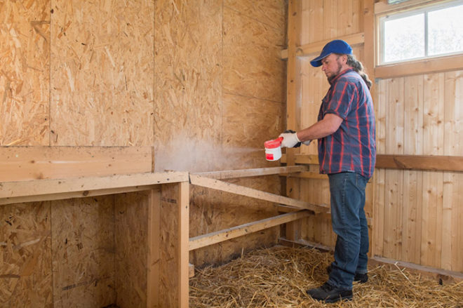 Обработка курятников