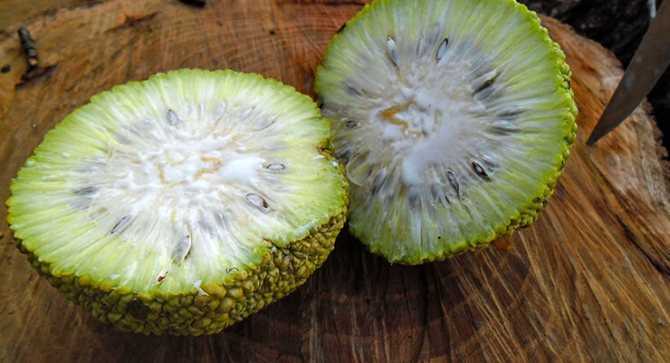 Противопоказания к лечению фруктом