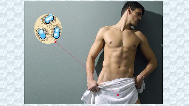 Заболевание члена