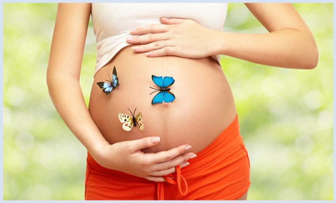 Брусника – незаменимый лекарь во время беременности