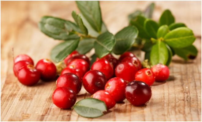 Клюквенный морс при беременности