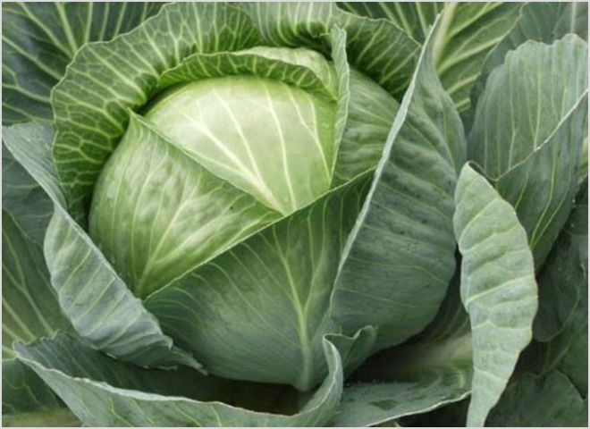 Отчего на теле появляются синяки без причины