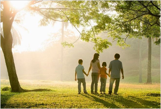 Отчего на теле появляются синяки без причины