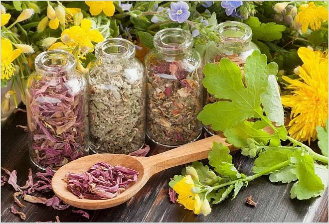 О чем сигналит зуд и раздражение половых губ